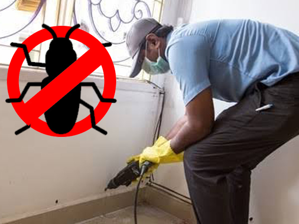 Post-Construction Anti-Termite Treatment in Raigad